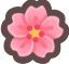 Cherry Blossom